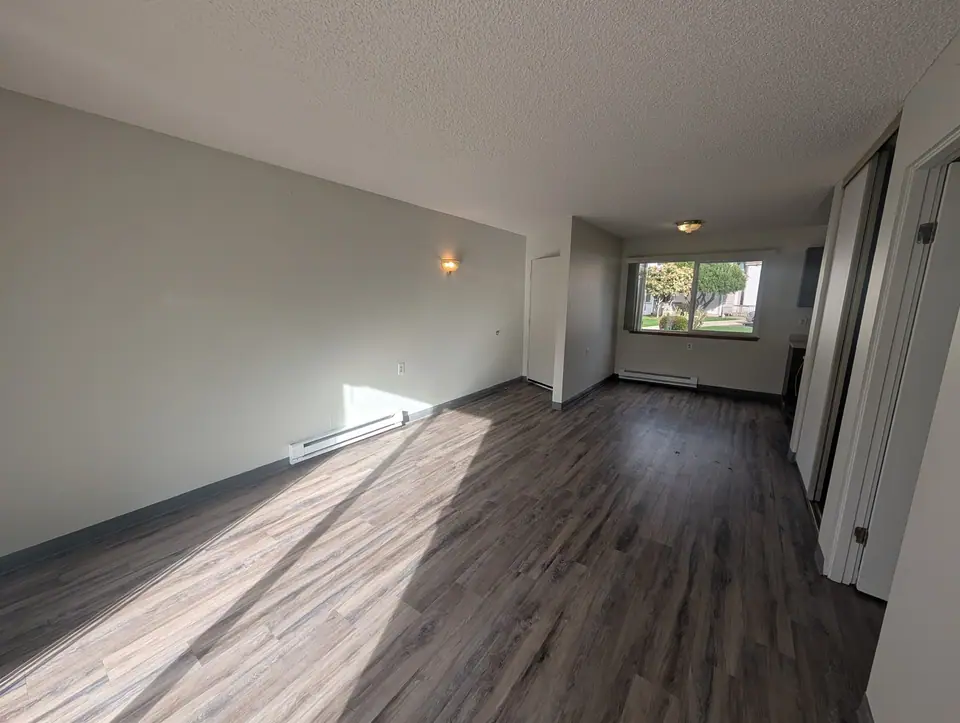 An empty apartment living room with fresh white walls and sun across a gray plank floor
